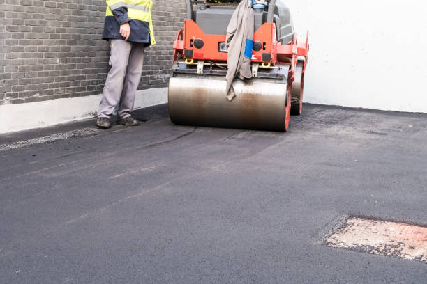 Best Driveway Maintenance Services  in Manila, AR